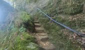 Tour Wandern Bertrix - rando  auby sur semois 2-09-2022 - Photo 14