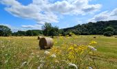 Tocht Stappen Florenville - Balade à Chassepierre - Photo 11