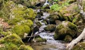 Trail Walking Arphy - Cascade d’Orgon - Photo 1