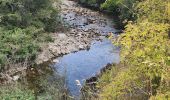 Tocht Stappen Chile Chico - Cascadas los Maquis - Photo 1