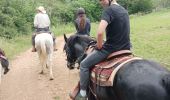 Trail Horseback riding Dramelay - Jour 2 Rando Petite Écurie  - Photo 3