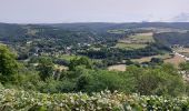 Randonnée Marche La Roche-en-Ardenne - MESA _ 2023 _ Étape 1 _ LA ROCHE-en-ARDENNE _ 27/06/2023 - Photo 2