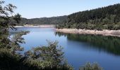 Tocht Stappen Verdun-en-Lauragais - Rando BDM-Cammazes-BDM - Photo 6