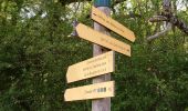 Trail Walking Mareuil-sur-Cher - Mareuil-sur-Cher - les Sables GR41 et PR - 15.7km 240m 4h00 - 2022 04 22 - Photo 2