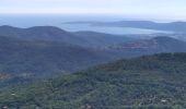 Trail Walking La Garde-Freinet - les roches  blanches - Photo 4