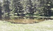 Randonnée Marche Freissinières - Fressiniere  les Roberts  Lac de la Lauze - Photo 5