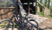 Trail Mountain bike Steinbach - Rocher Albert Waldkapel 2020 - Photo 2