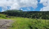 Tour Wandern Mont-Dore - 2021-07-01 puy de sanctions départ du capucin  - Photo 11