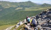 Tour Wandern Saint-Jacques-des-Blats - Puy Griou depuis le Col de Font de Cère - Photo 19