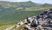 Randonnée Marche Saint-Jacques-des-Blats - Puy Griou depuis le Col de Font de Cère - Photo 19