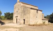 Tour Wandern Aubais - Aubais -St Nazaire - Photo 3