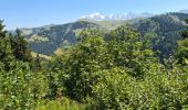 Randonnée Marche Villard-sur-Doron - Le Chard du Beurre depuis le Hameau du Beaufortain - Photo 2
