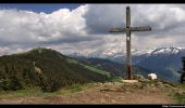 Randonnée Marche Villard-sur-Doron - Mont Bisanne et Croix de Coste - Photo 4