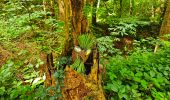 Tour Wandern Bièvre - Promenade de la Roche Mouselle - Petit-Fays - Photo 11