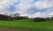 Randonnée Marche Hamois - La Promenade du Berceau du Bocq - Photo 14