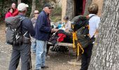 Randonnée Marche Puyloubier - Ste victoire  - Photo 12