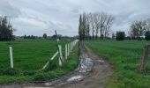 Percorso Marcia Dendermonde - 20221105 WSV De Zilverdistel 12 km - Photo 16