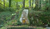 Tocht Stappen Romanswiller - Heidenschloss - Cascade Mencke via Bischofslaeger - Photo 7