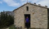 Randonnée Marche Beaumont-du-Ventoux - sommet de la plate - Photo 4