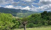 Tour  La Souche - De la Souche à Jaujac  - Photo 2