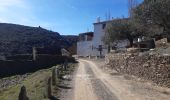 Tocht Stappen Cadaqués - cadaques . sa planassa . far de cala nans . cadaques  - Photo 18