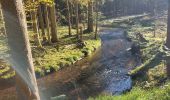 Tour Wandern Turquestein-Blancrupt - Saint Quirin le Kiboki - Photo 1