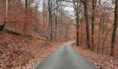 Tour Wandern La Roche-en-Ardenne - Promenade du Diable-Château  - Photo 4