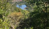 Trail Walking Saint-Nazaire-en-Royans - St Nazaire en Royans  - Photo 1
