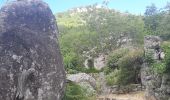 Tocht Stappen Sablières - Pont Du Mas - Boules de Gargantua 14km - Photo 14