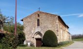 Randonnée Marche Châteauneuf-de-Galaure - Le tour de Châteauneuf de Galaure - Photo 9