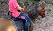 Trail Horseback riding Celles-sur-Plaine - Ar equiplaine sortie de fin d’année 6.11.22 - Photo 3