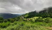 Tocht Stappen La Bresse - la bresse-bassedesfeignes-2024-07-01 - Photo 8