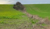 Percorso Mountainbike Gerpinnes - Grand tour - Photo 1