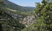 Percorso Marcia Malaucène - Rand'eau gorges du toulourenc - Photo 4