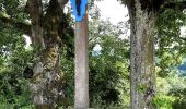 Tour Zu Fuß Untersiggenthal - Baden - Brücke Stilli - Photo 8