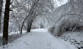 Percorso Marcia Esneux - Bois d’Esneux sous la neige - Photo 1