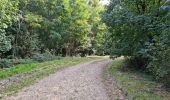 Trail Walking Chamarande - Forêt Départementale du Belvédère à Chamarande - Photo 1