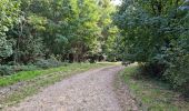 Randonnée Marche Chamarande - Forêt Départementale du Belvédère à Chamarande - Photo 1