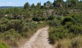 Trail Walking Le Triadou - tour triadou, st Jean de cuculles - Photo 1