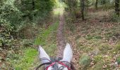 Trail Horseback riding Bastogne - Livarchamps 18/09/2022 - Photo 7