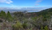 Excursión Senderismo Théoule-sur-Mer - Theoule - Photo 5