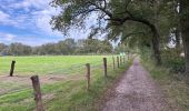 Excursión Senderismo Loon op Zand - Loonse Park Roestelberg 22,8 km - Photo 6