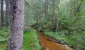 Tour Wandern La Chaise-Dieu - Bois de Breuil - Photo 15