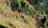 Tour Wandern La Garde-Freinet - La Mourre, La Garde-Freinet-22-05-24 - Photo 2