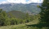 Trail Walking Chorges - Serre-Ponçon le 03 06 2024 (Col Lebrault) - Photo 7