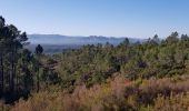 Trail Walking Puget-sur-Argens - la lieutenante - Photo 2