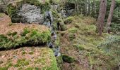 Trail Walking Ottrott - Le Mont Ste Odile et le mur paien - Photo 2