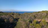 Tour Wandern Bonifacio - tonnara - ermitage - Photo 14