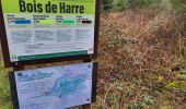 Randonnée Marche Manhay - Deux Rys 120423 - Photo 8