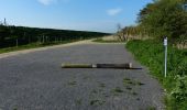 Tocht Te voet South Holland - Willow Tree Fen Green perimeter route - Photo 6